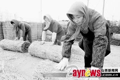 江蘇省連云港市贛榆縣農(nóng)民將稻草簾外銷（圖）