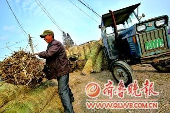農(nóng)民正在將草簾裝在拖拉機(jī)上。