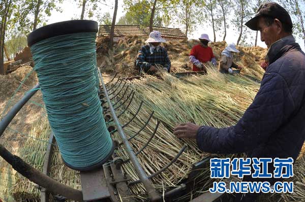 東海稻草變草簾環(huán)保又賺錢 