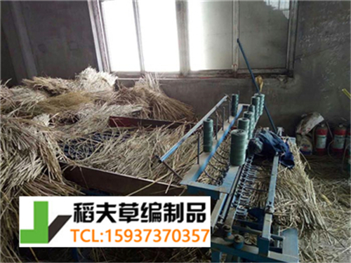 實(shí)拍農(nóng)民稻田收割后稻草的利用，編織成草簾子發(fā)往全國(guó)各地